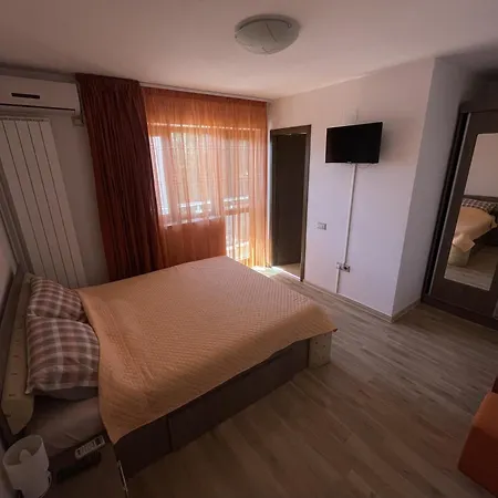 Guest house Casa Matei 3*